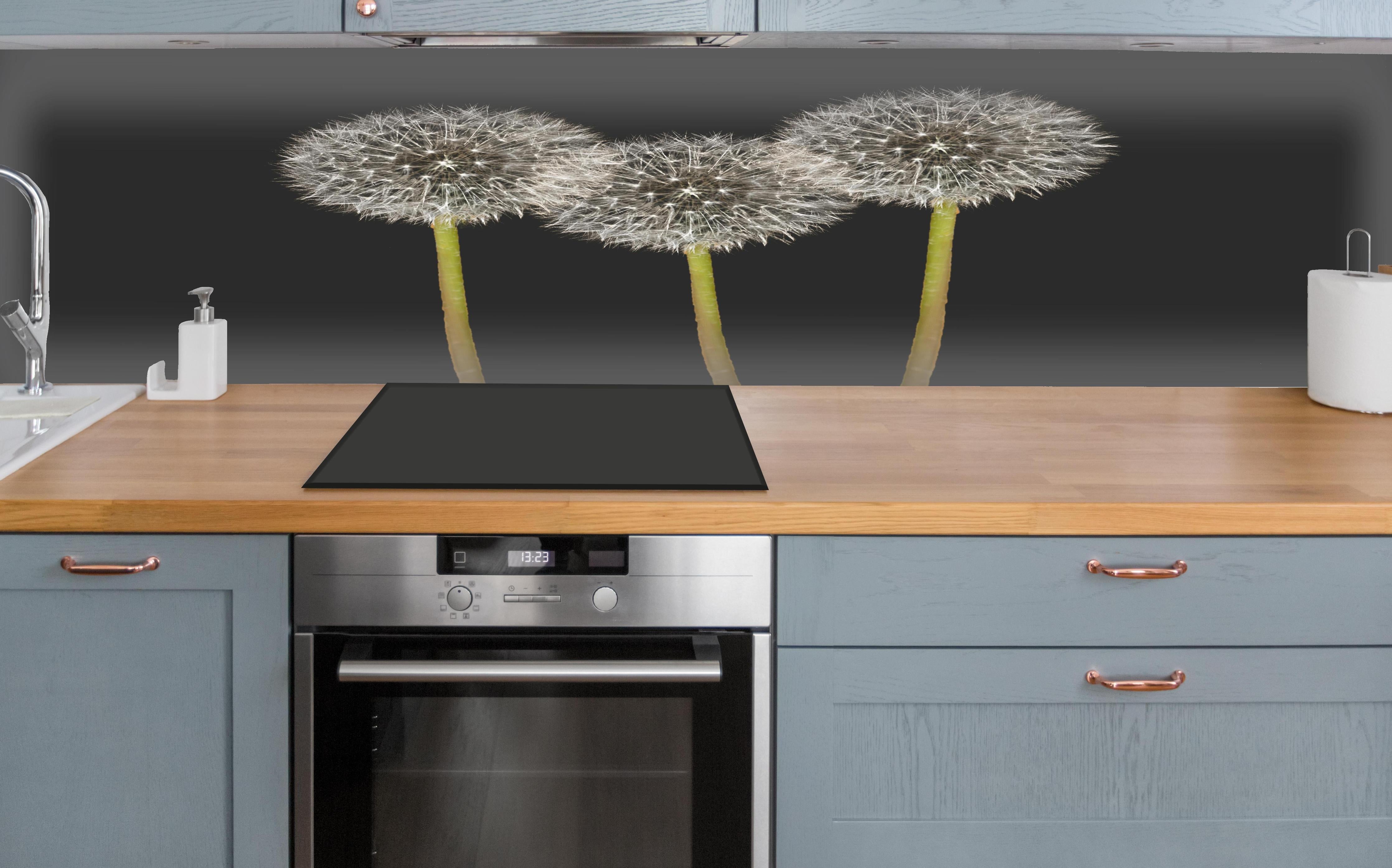 Küche - Weiße Pusteblumen auf Schwarz über polierter Holzarbeitsplatte mit Cerankochfeld