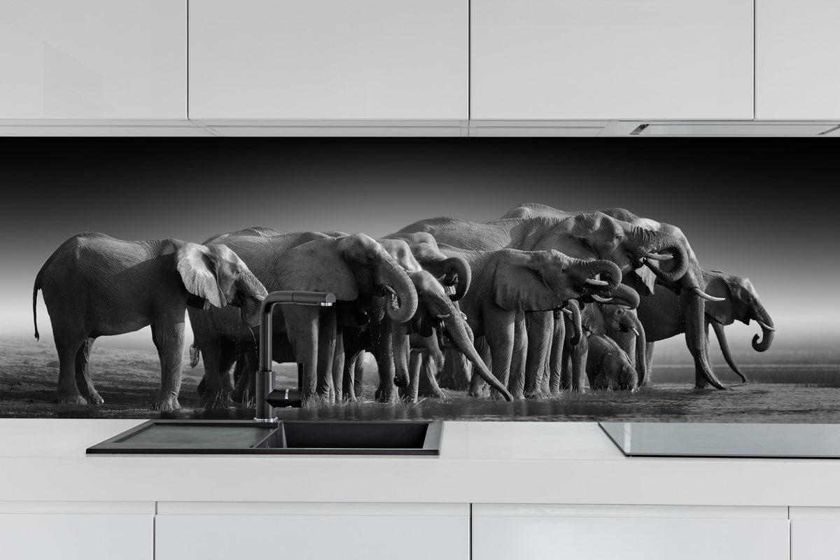 Küche - Afrikanische Elefantenherde (Schwarz-Weiß) hinter weißen Hochglanz-Küchenregalen und schwarzem Wasserhahn