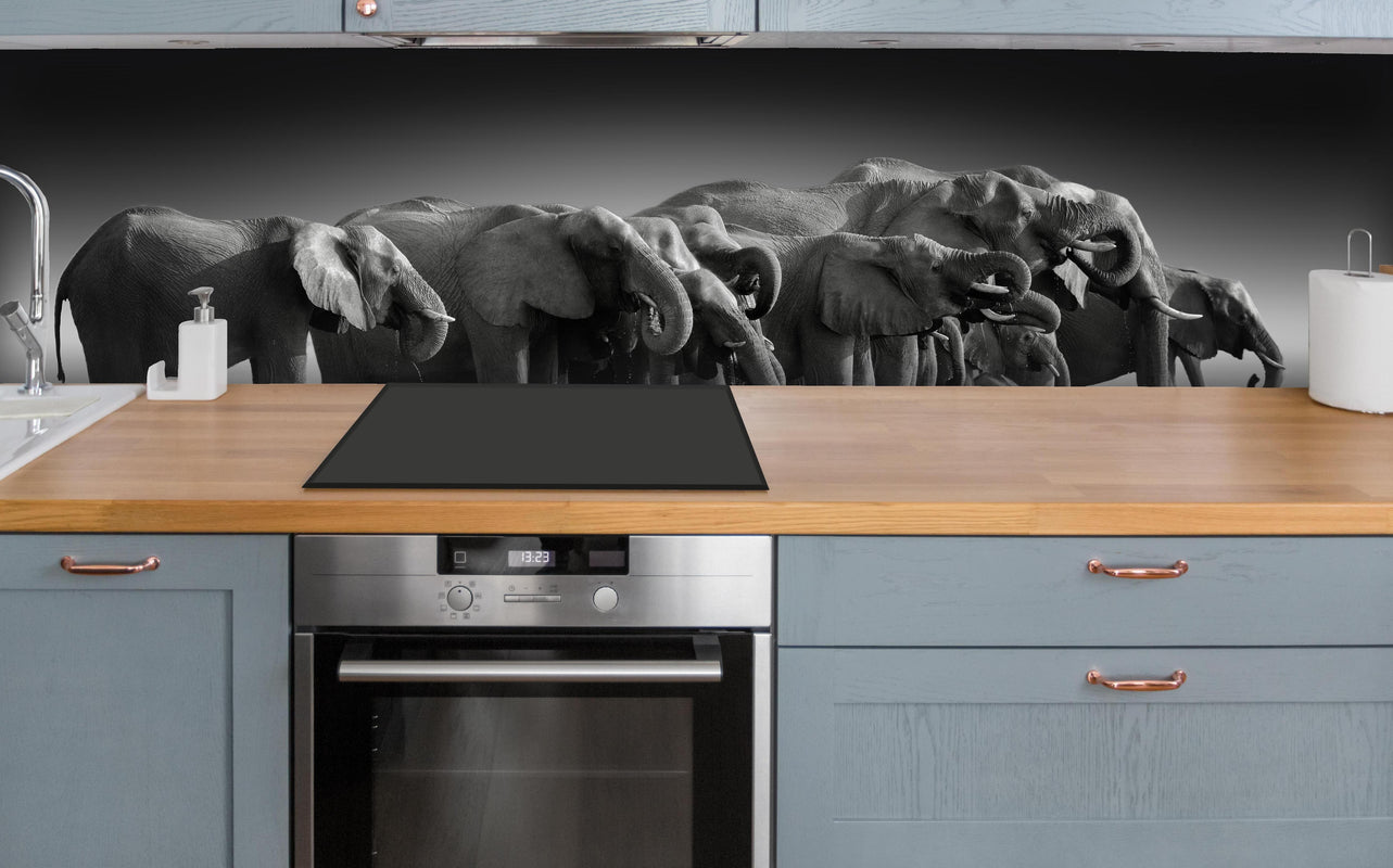 Küche - Afrikanische Elefantenherde (Schwarz-Weiß) über polierter Holzarbeitsplatte mit Cerankochfeld