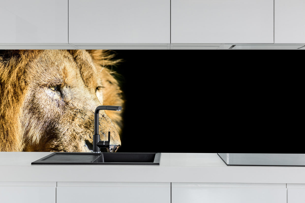 Küche - Alter Löwe auf schwarzem Hintergrund hinter weißen Hochglanz-Küchenregalen und schwarzem Wasserhahn