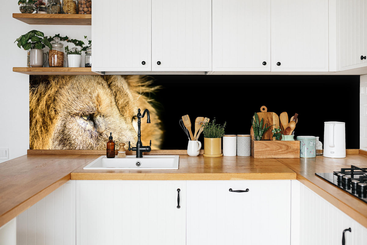 Küche - Alter Löwe auf schwarzem Hintergrund in weißer Küche hinter Gewürzen und Kochlöffeln aus Holz