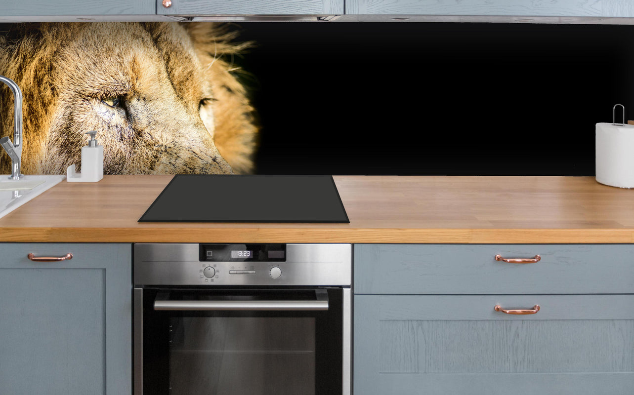 Küche - Alter Löwe auf schwarzem Hintergrund über polierter Holzarbeitsplatte mit Cerankochfeld