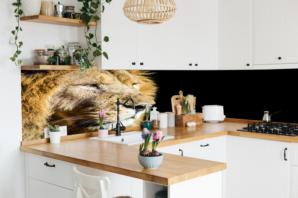 Küche - Alter Löwe auf schwarzem Hintergrund in lebendiger Küche mit bunten Blumen
