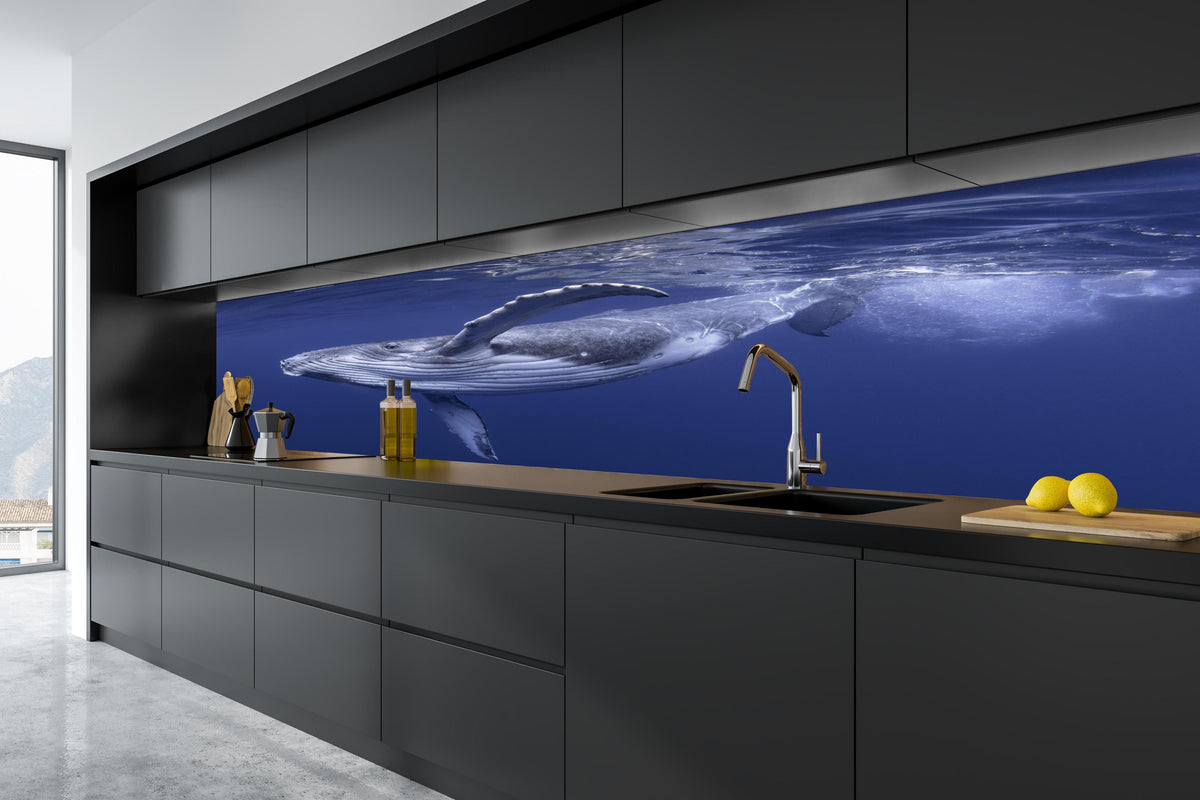 Küche - Baby-Buckelwal-Kalb im blauen Wasser in tiefschwarzer matt-premium Einbauküche