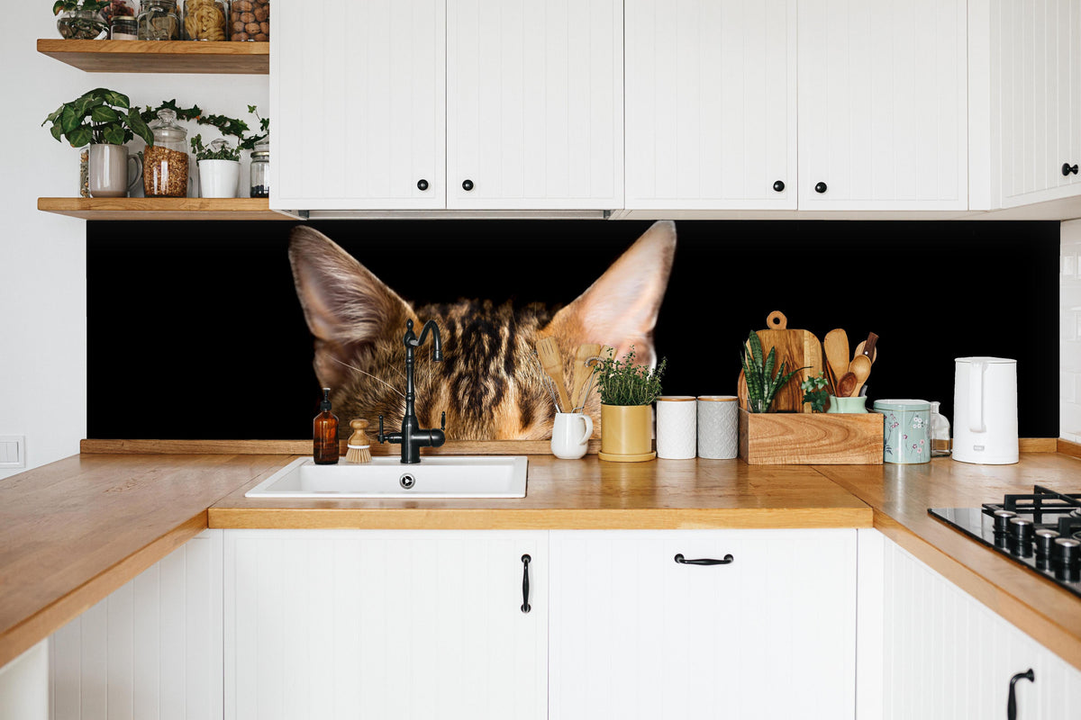 Küche - Bengalkatze Portrait in weißer Küche hinter Gewürzen und Kochlöffeln aus Holz