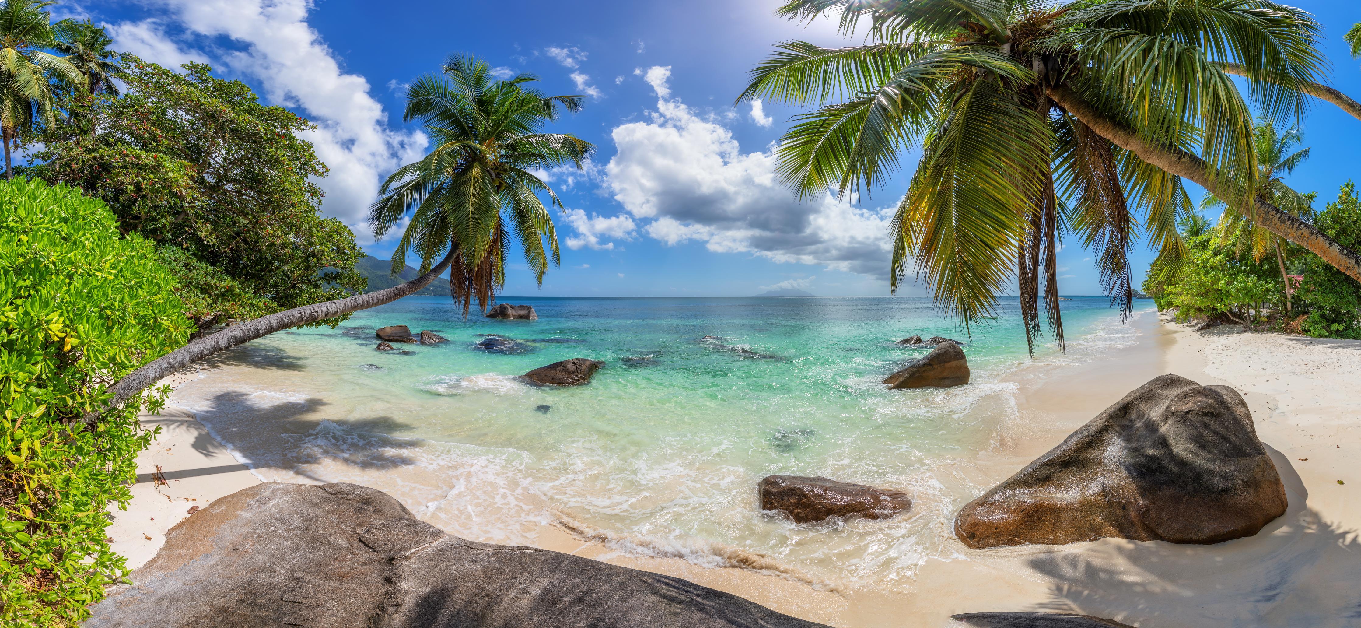 Küchenrückwand-Blick auf den schönen tropischen Strand