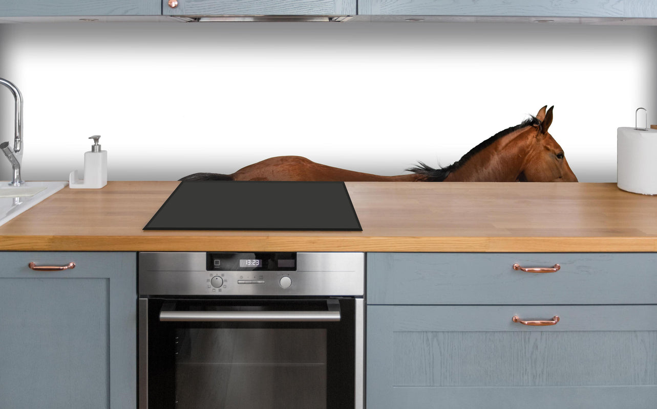 Küche - Braunes Pferd galoppiert durch den Sand über polierter Holzarbeitsplatte mit Cerankochfeld