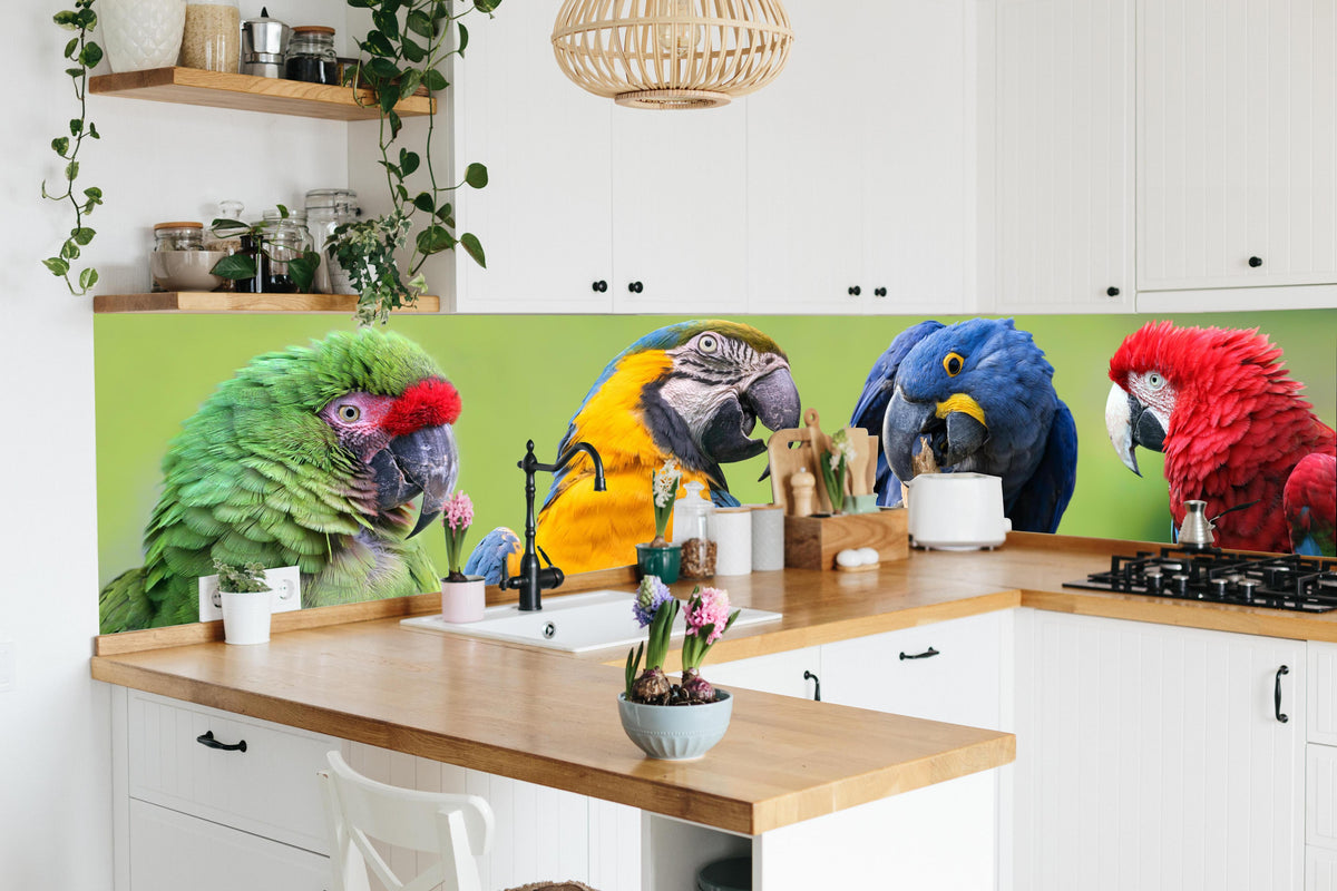 Küche - Bunte Gruppe von Aras in lebendiger Küche mit bunten Blumen