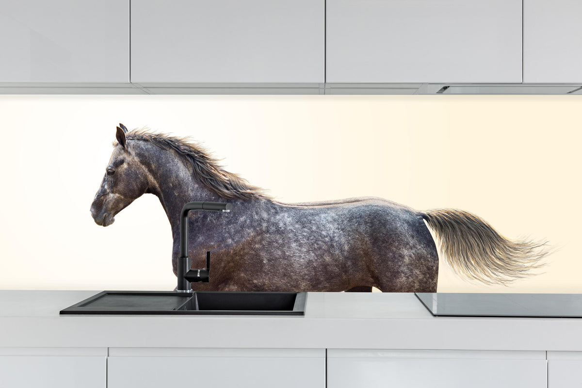 Küche - Ein graues Pferd reitend auf einem Feld hinter weißen Hochglanz-Küchenregalen und schwarzem Wasserhahn