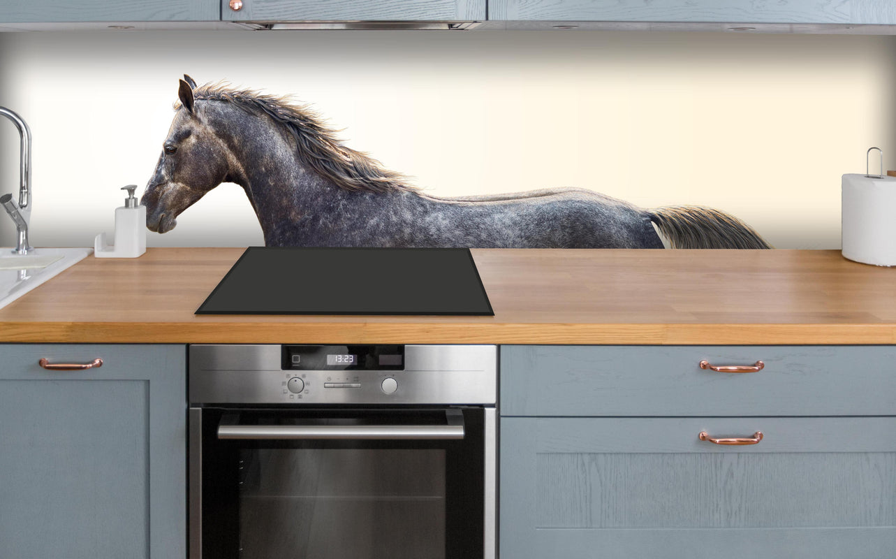 Küche - Ein graues Pferd reitend auf einem Feld über polierter Holzarbeitsplatte mit Cerankochfeld