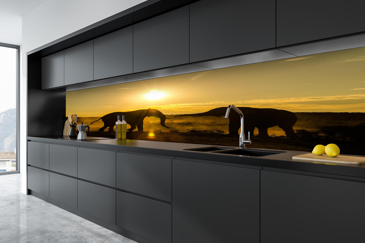 Küche - Elefanten bei Sonnenuntergang in tiefschwarzer matt-premium Einbauküche