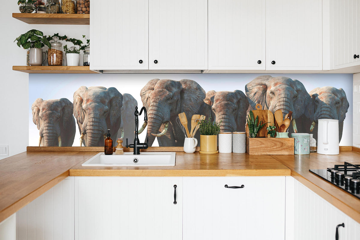 Küche - Elefantenherde in der Wüste in weißer Küche hinter Gewürzen und Kochlöffeln aus Holz