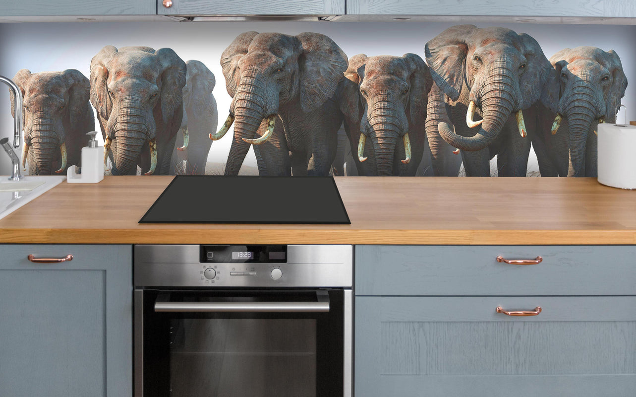 Küche - Elefantenherde in der Wüste über polierter Holzarbeitsplatte mit Cerankochfeld