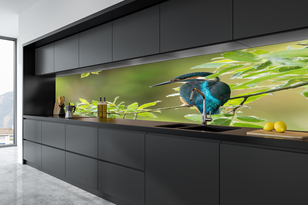 Küche - Exotischer friedlicher Eisvogel in tiefschwarzer matt-premium Einbauküche