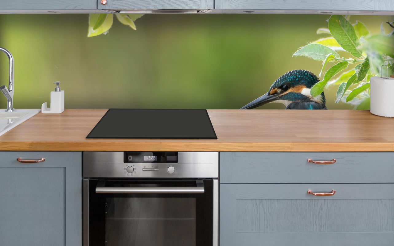 Küche - Exotischer friedlicher Eisvogel über polierter Holzarbeitsplatte mit Cerankochfeld