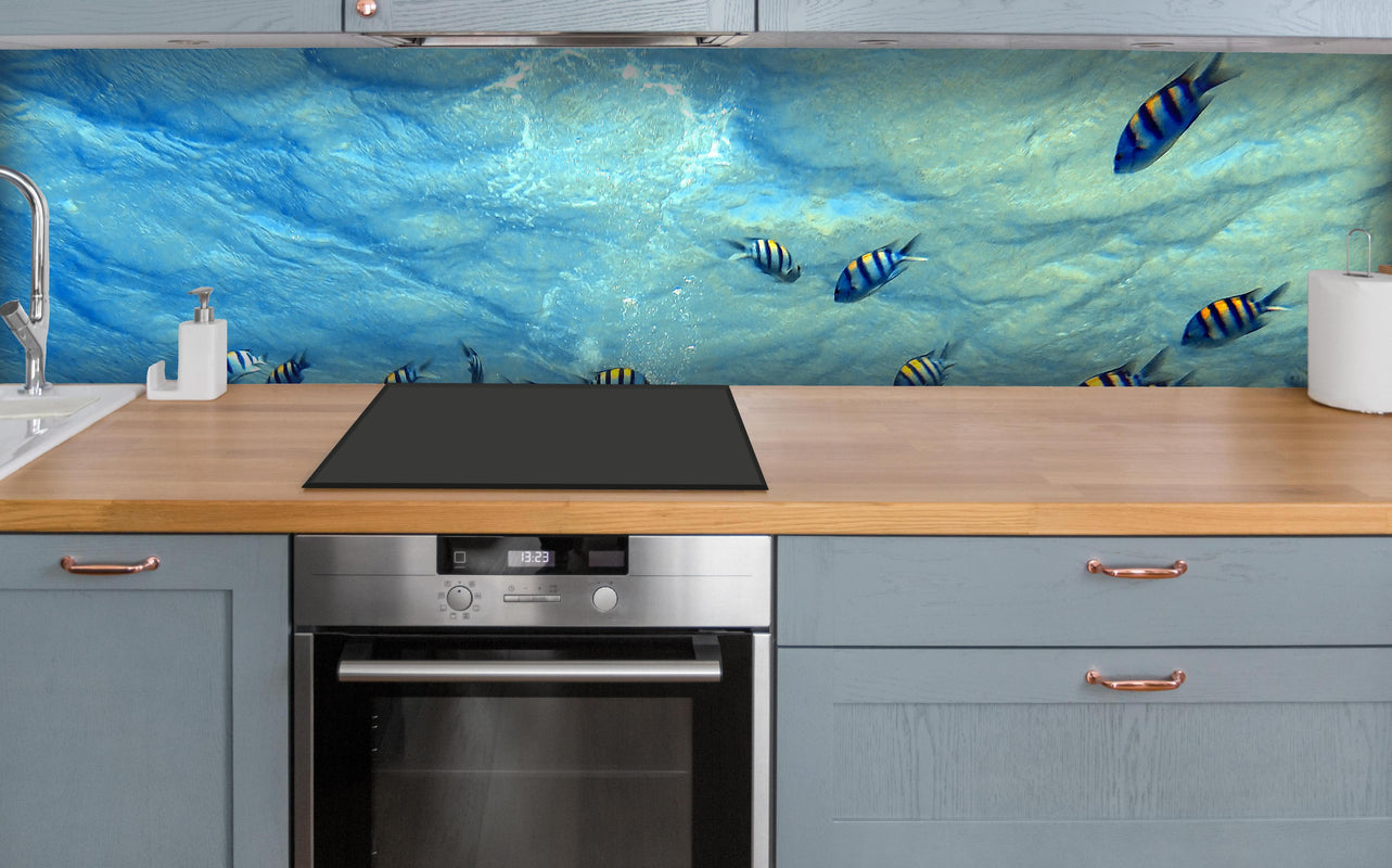 Küche - Fische im klarem Meer über polierter Holzarbeitsplatte mit Cerankochfeld