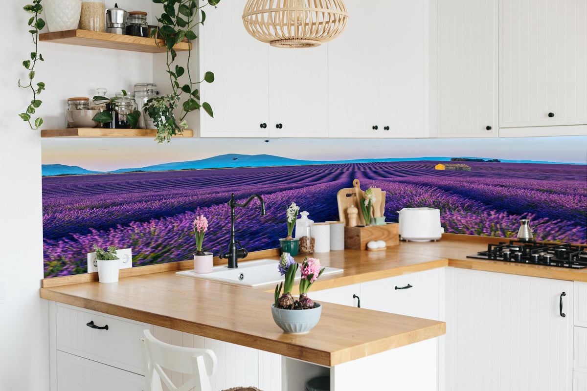 Küche - Französische Lavendelfelder in lebendiger Küche mit bunten Blumen