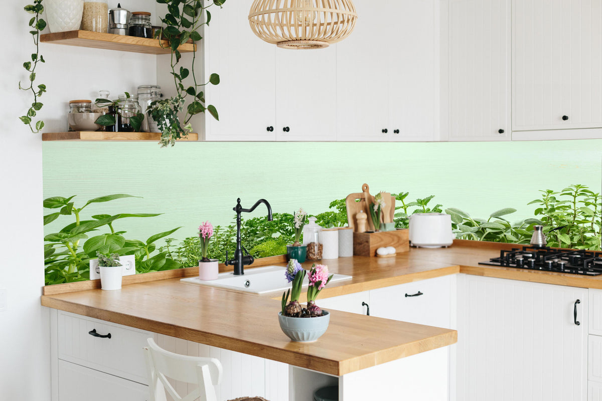 Küche - Frische Kräuter über polierter Holzarbeitsplatte mit Cerankochfeld