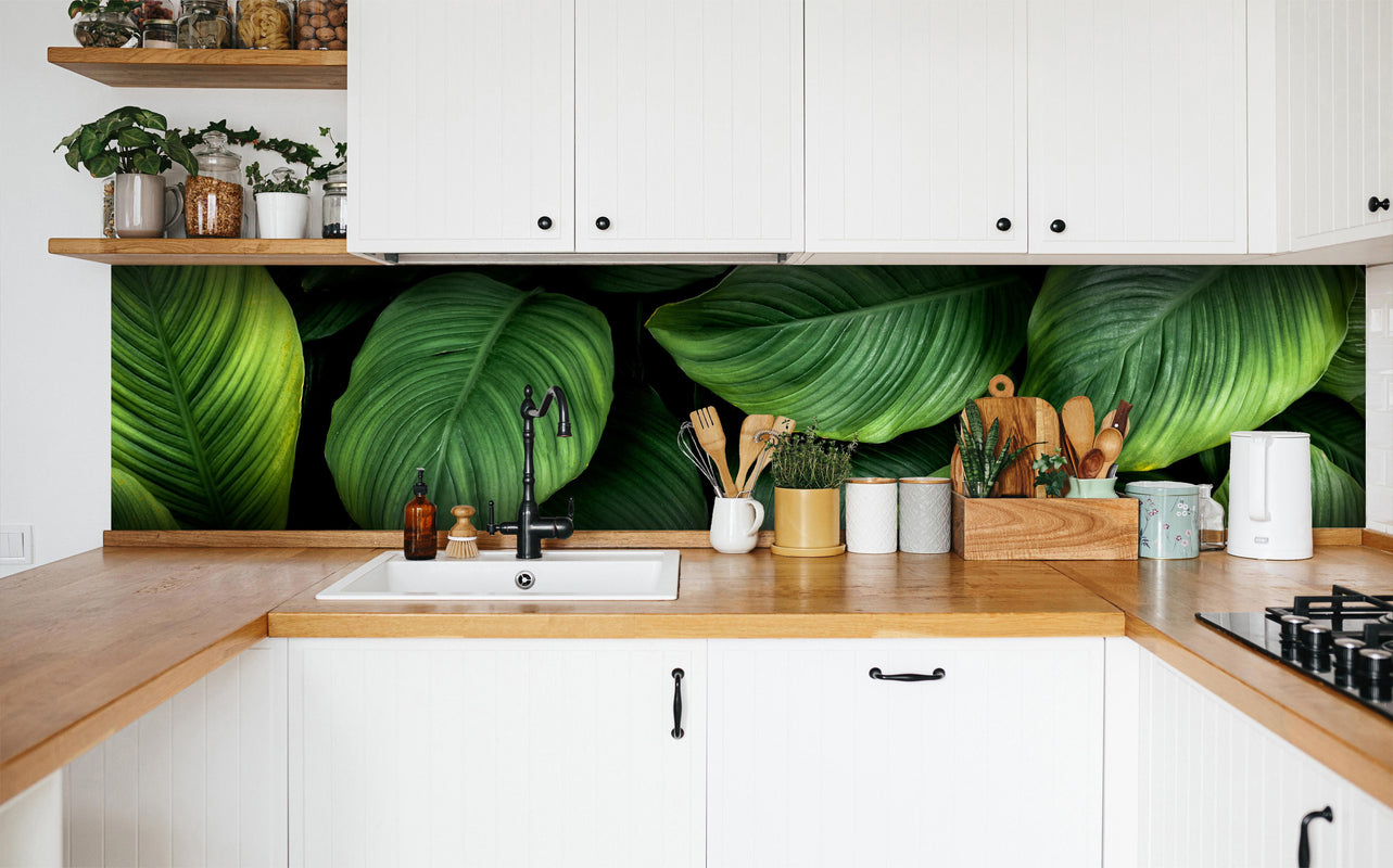 Küche - Große grüne Blätter in weißer Küche hinter Gewürzen und Kochlöffeln aus Holz
