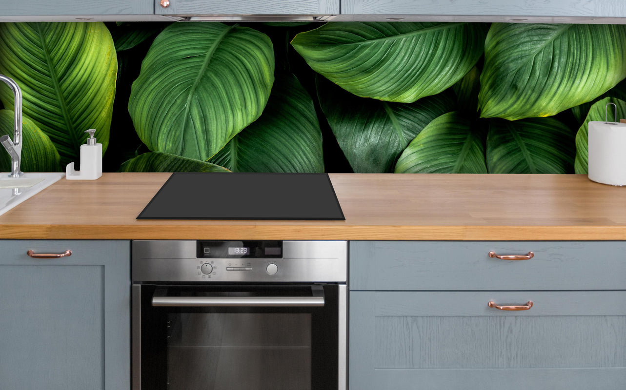 Küche - Große grüne Blätter über polierter Holzarbeitsplatte mit Cerankochfeld