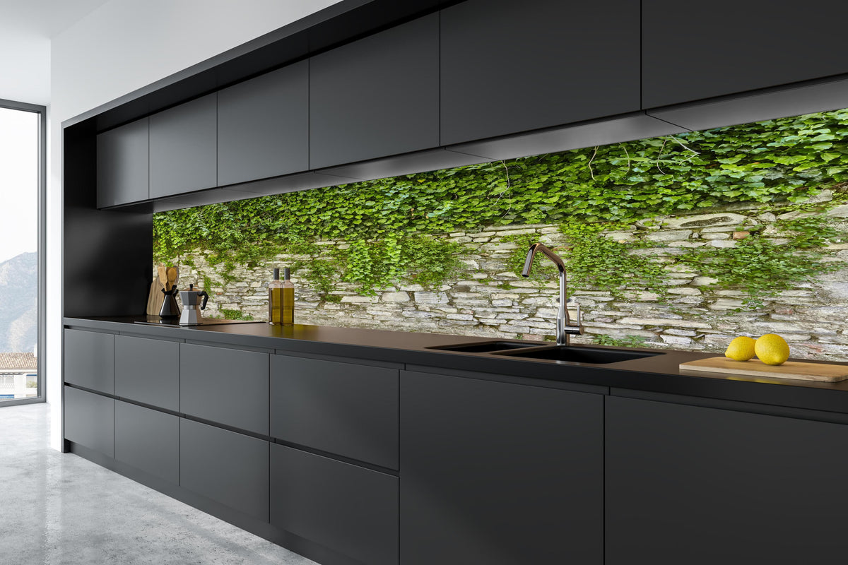 Küche - Grün überwucherte Burgmauer in tiefschwarzer matt-premium Einbauküche