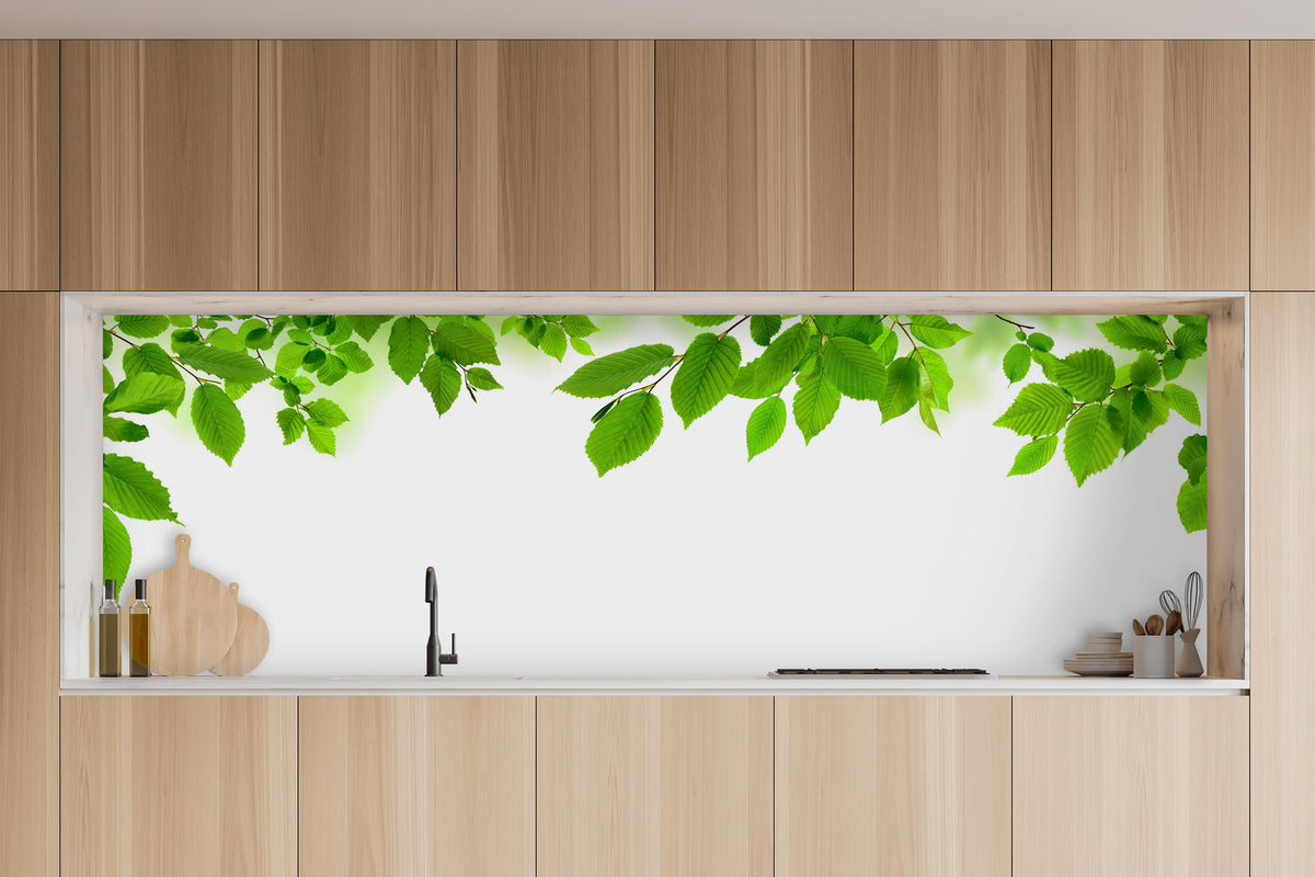 Küche - Grüne Blätter in charakteristischer Vollholz-Küche mit modernem Gasherd