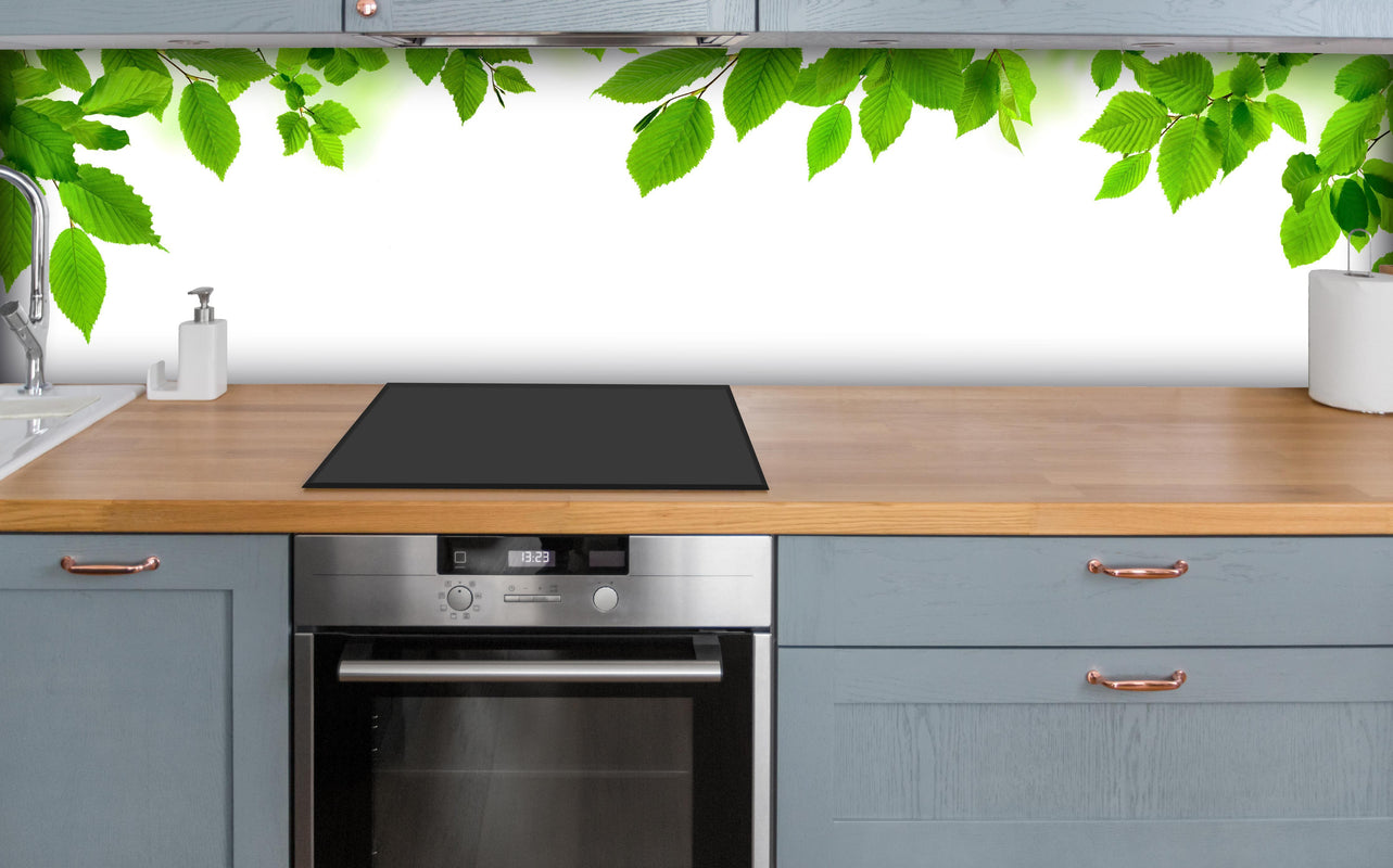 Küche - Grüne Blätter über polierter Holzarbeitsplatte mit Cerankochfeld