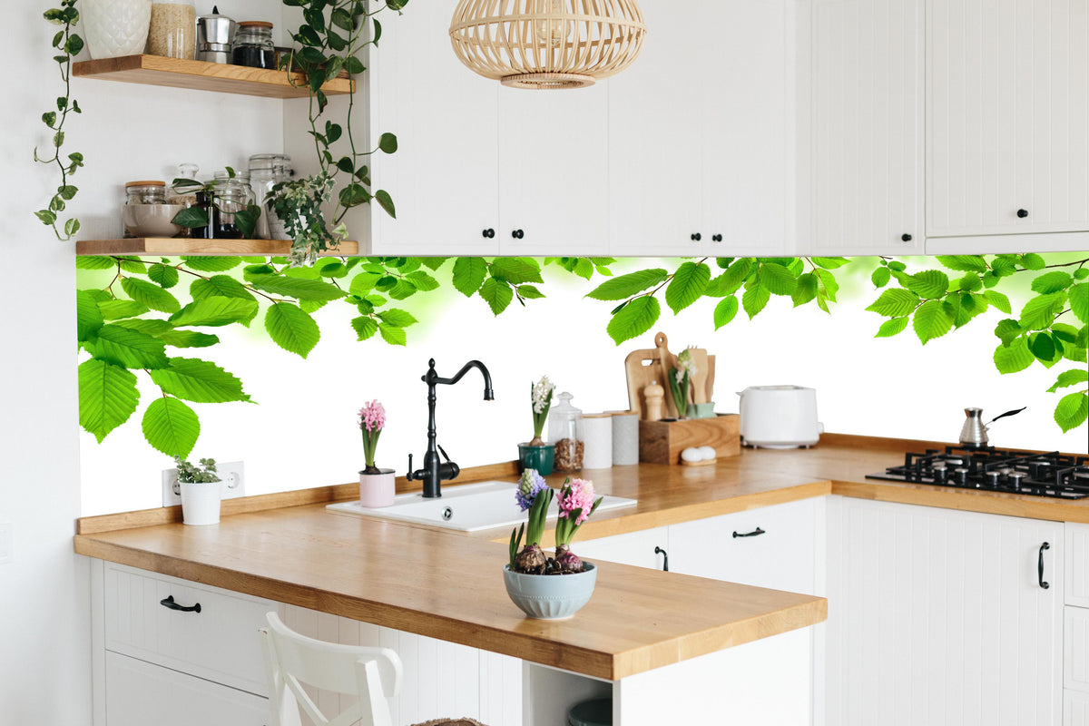 Küche - Grüne Blätter in lebendiger Küche mit bunten Blumen