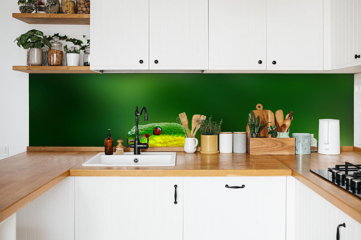 Küche - Grüne Inselvipernatter in weißer Küche hinter Gewürzen und Kochlöffeln aus Holz