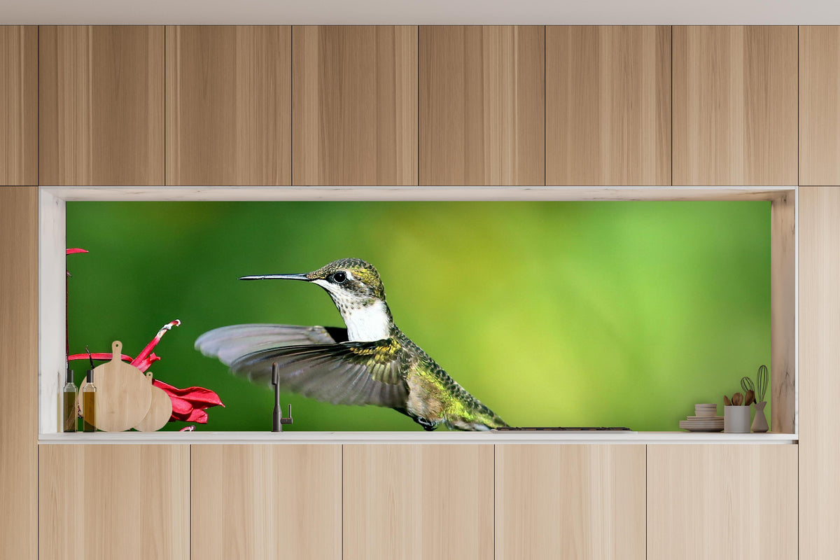 Küche - Kolibri-Weibchen im Flug in charakteristischer Vollholz-Küche mit modernem Gasherd