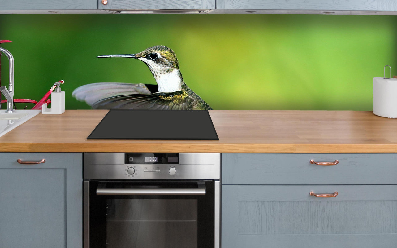 Küche - Kolibri-Weibchen im Flug über polierter Holzarbeitsplatte mit Cerankochfeld