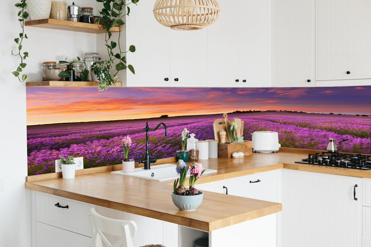 Küche - Lavendelfeld in der Morgendämmerung in lebendiger Küche mit bunten Blumen