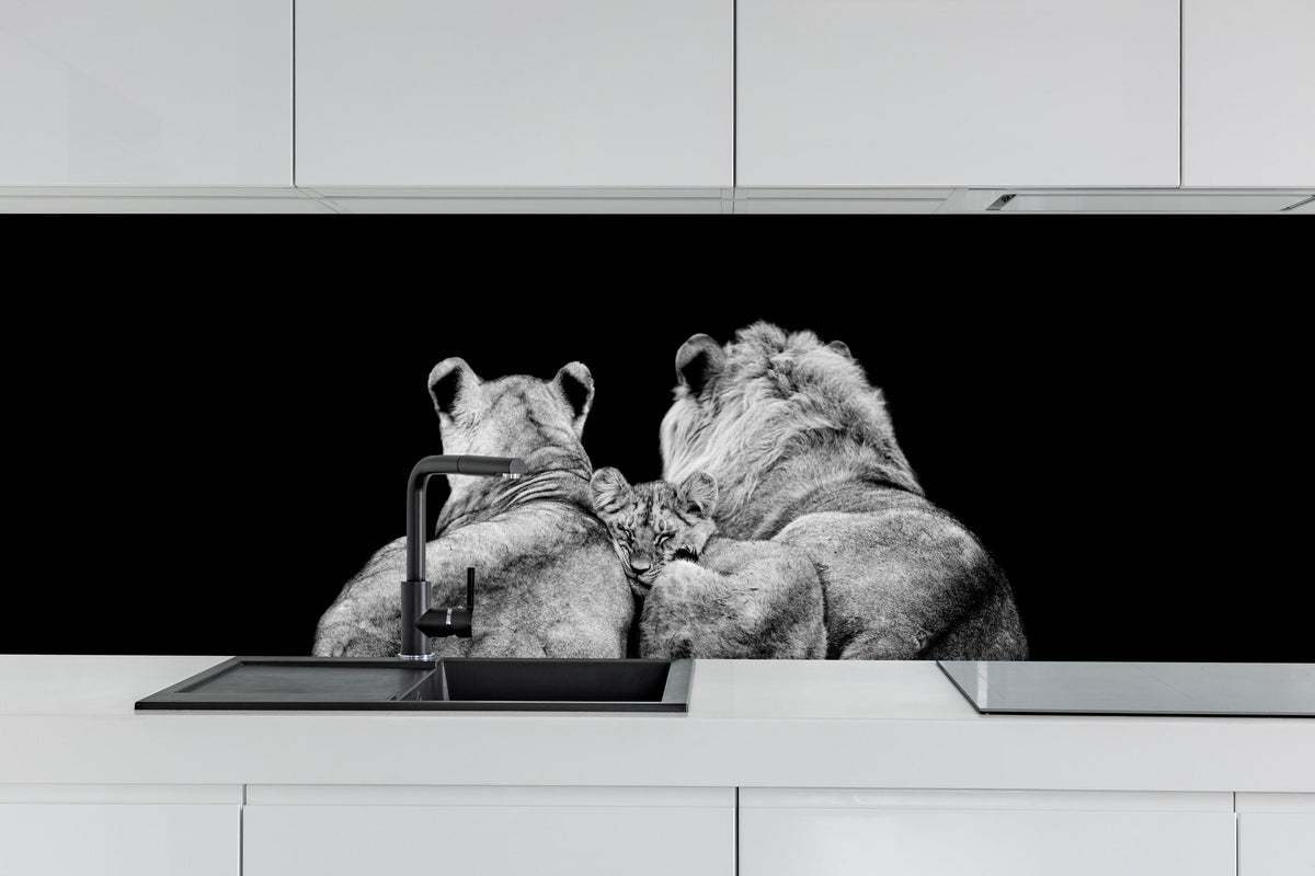 Küche - Löwenfamilie liegend mit schwarzem Hintergrund hinter weißen Hochglanz-Küchenregalen und schwarzem Wasserhahn