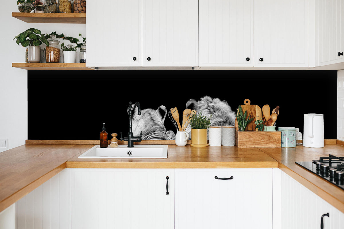 Küche - Löwenfamilie liegend mit schwarzem Hintergrund in weißer Küche hinter Gewürzen und Kochlöffeln aus Holz