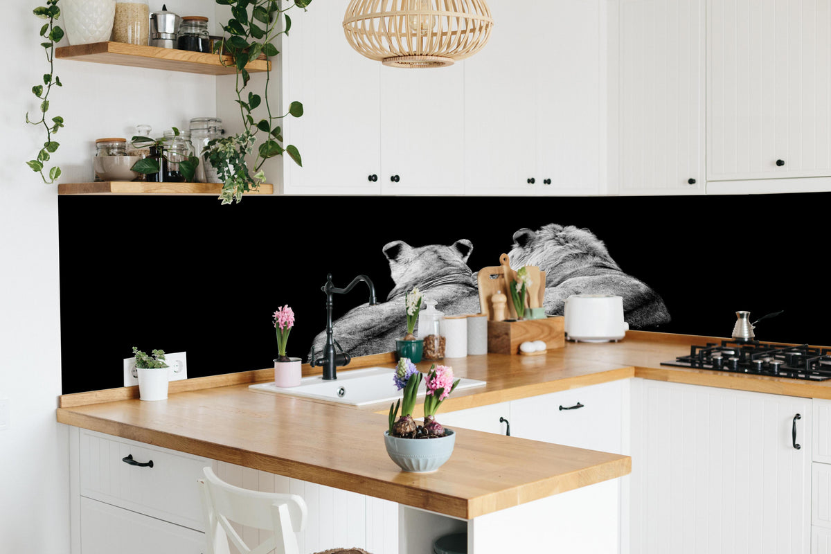 Küche - Löwenfamilie liegend mit schwarzem Hintergrund in lebendiger Küche mit bunten Blumen