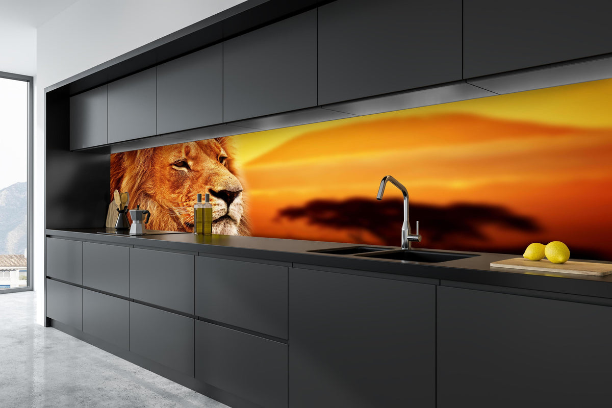 Küche - Löwenporträt in der Savanne in tiefschwarzer matt-premium Einbauküche