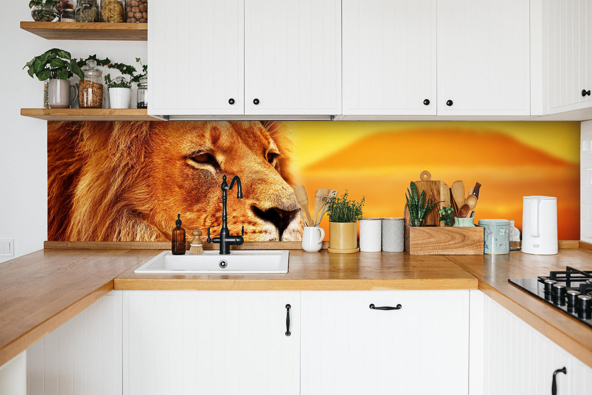 Küche - Löwenporträt in der Savanne in weißer Küche hinter Gewürzen und Kochlöffeln aus Holz