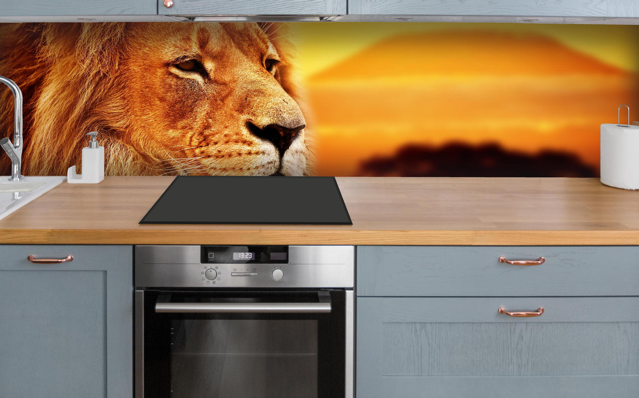 Küche - Löwenporträt in der Savanne über polierter Holzarbeitsplatte mit Cerankochfeld