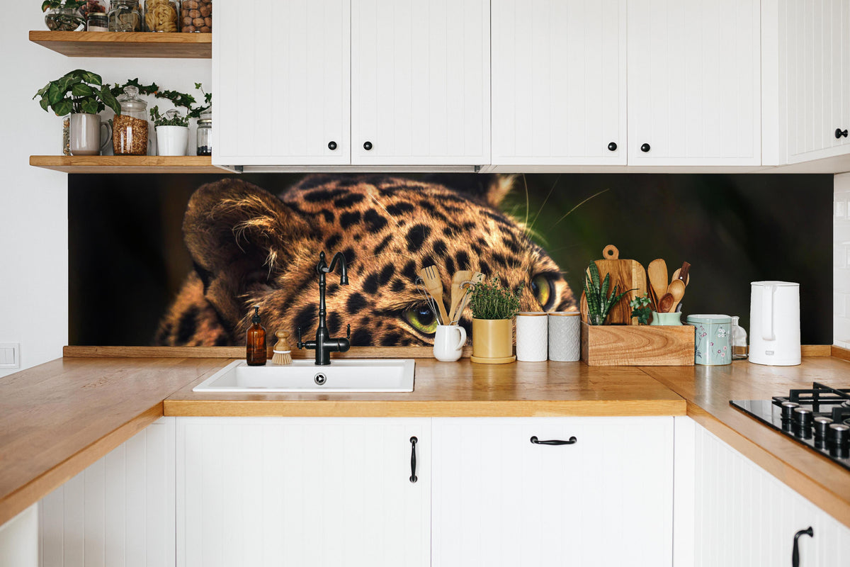 Küche - Majestätischer Amur-Leopard in weißer Küche hinter Gewürzen und Kochlöffeln aus Holz