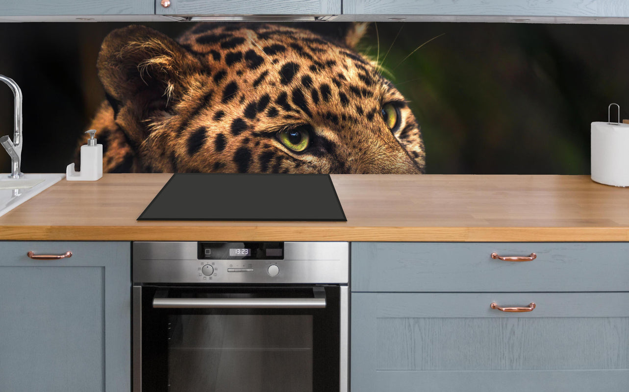 Küche - Majestätischer Amur-Leopard über polierter Holzarbeitsplatte mit Cerankochfeld