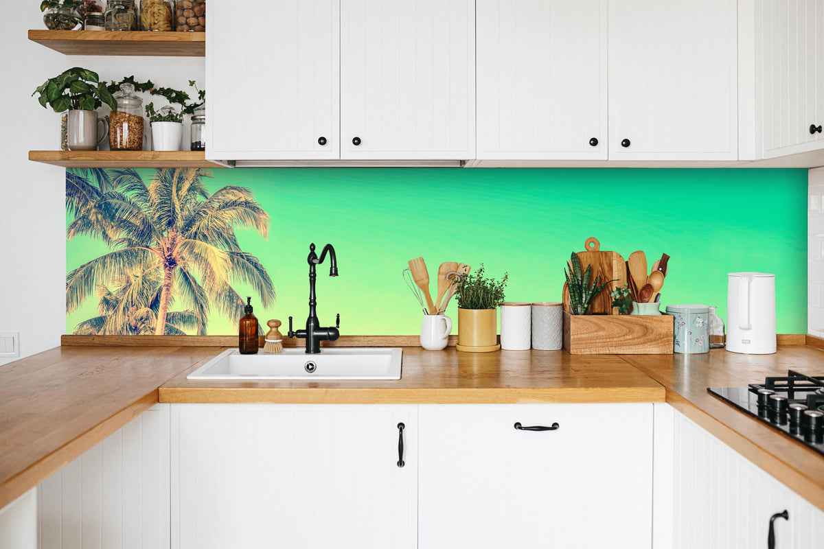 Küche - Palme im Panorama-Himmel in weißer Küche hinter Gewürzen und Kochlöffeln aus Holz
