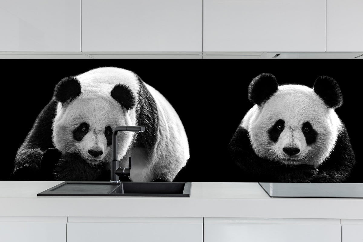 Küche - Panda mit schwarzem Hintergrund hinter weißen Hochglanz-Küchenregalen und schwarzem Wasserhahn