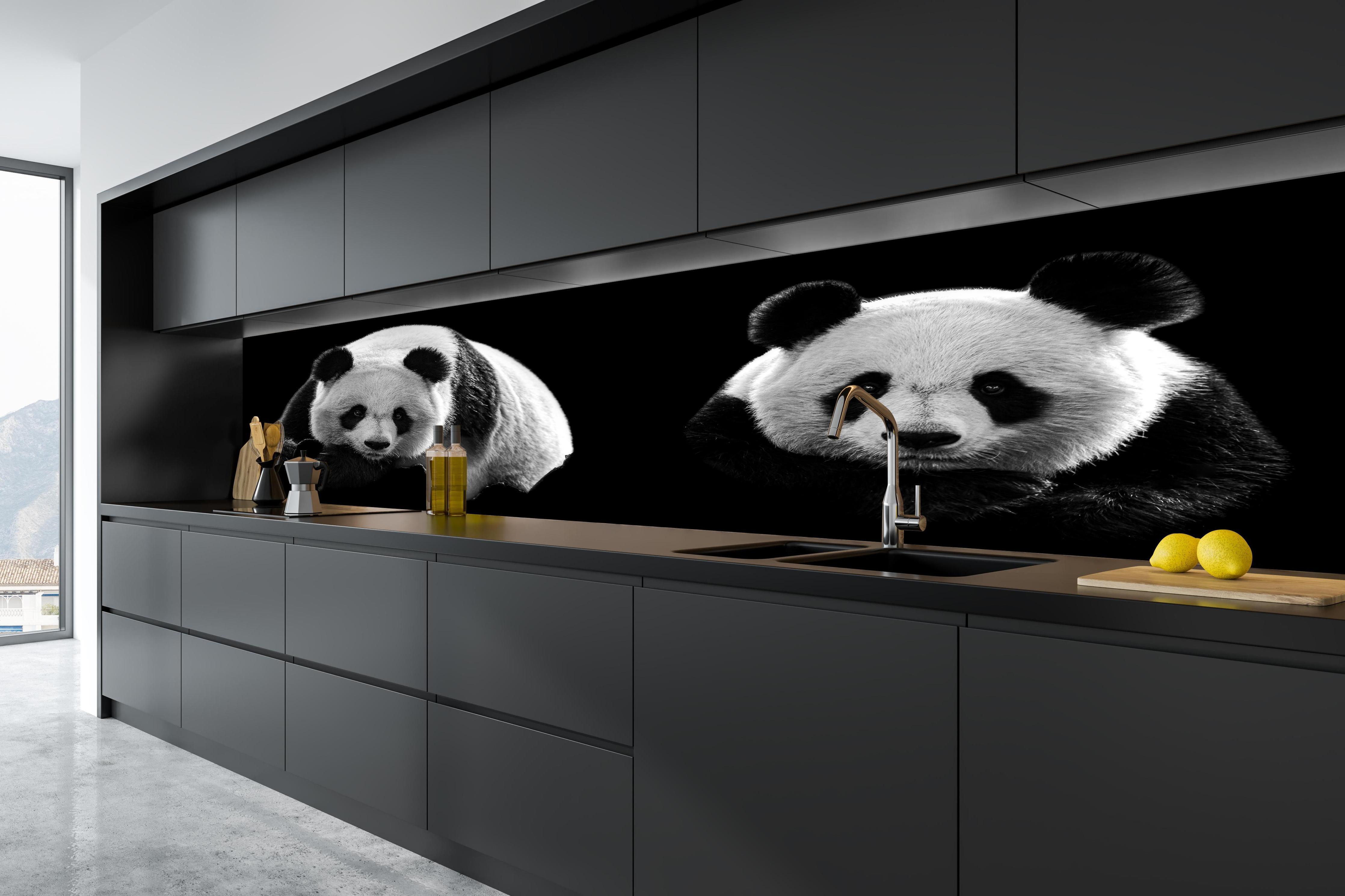 Küche - Panda mit schwarzem Hintergrund in tiefschwarzer matt-premium Einbauküche