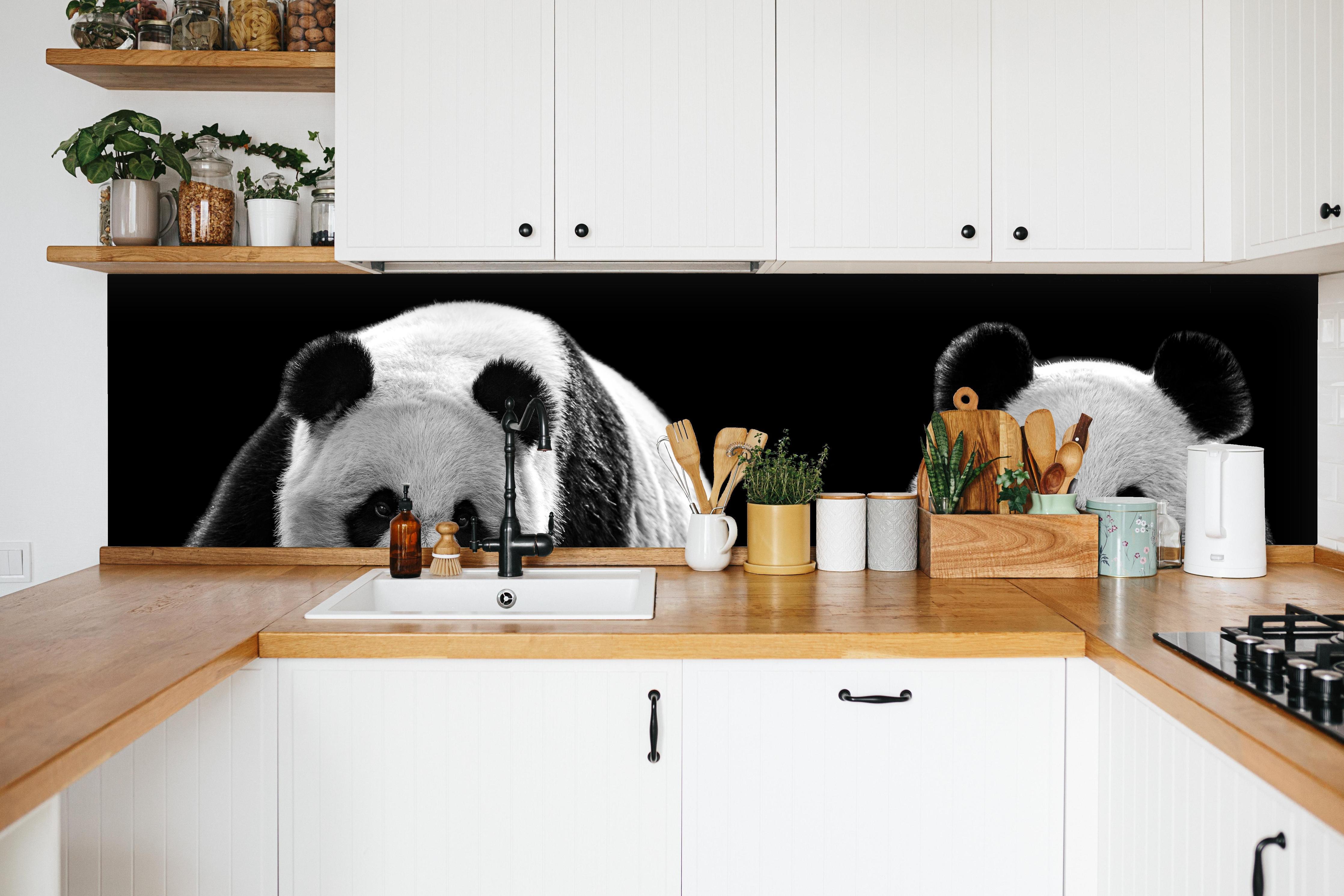 Küche - Panda mit schwarzem Hintergrund in weißer Küche hinter Gewürzen und Kochlöffeln aus Holz