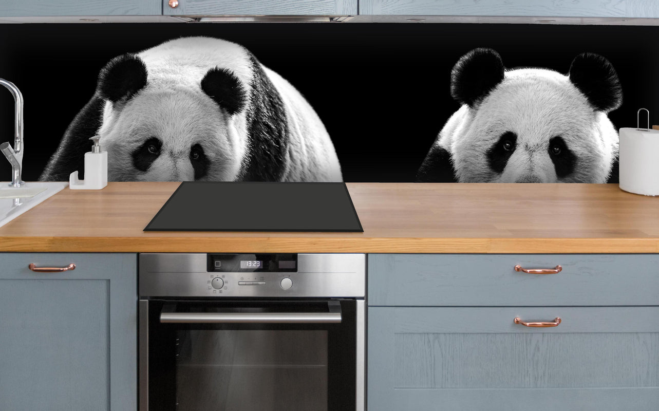 Küche - Panda mit schwarzem Hintergrund über polierter Holzarbeitsplatte mit Cerankochfeld