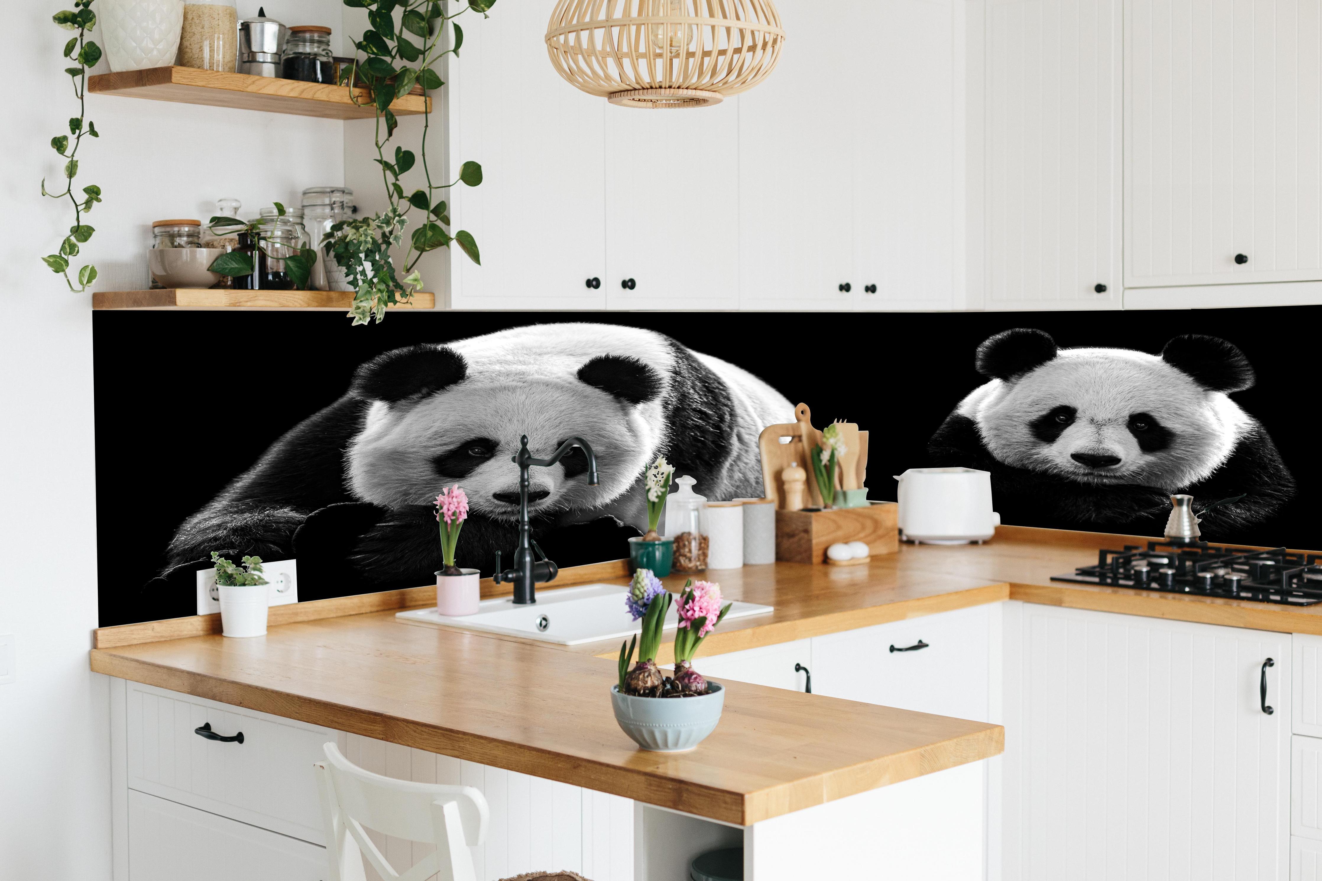 Küche - Panda mit schwarzem Hintergrund in lebendiger Küche mit bunten Blumen