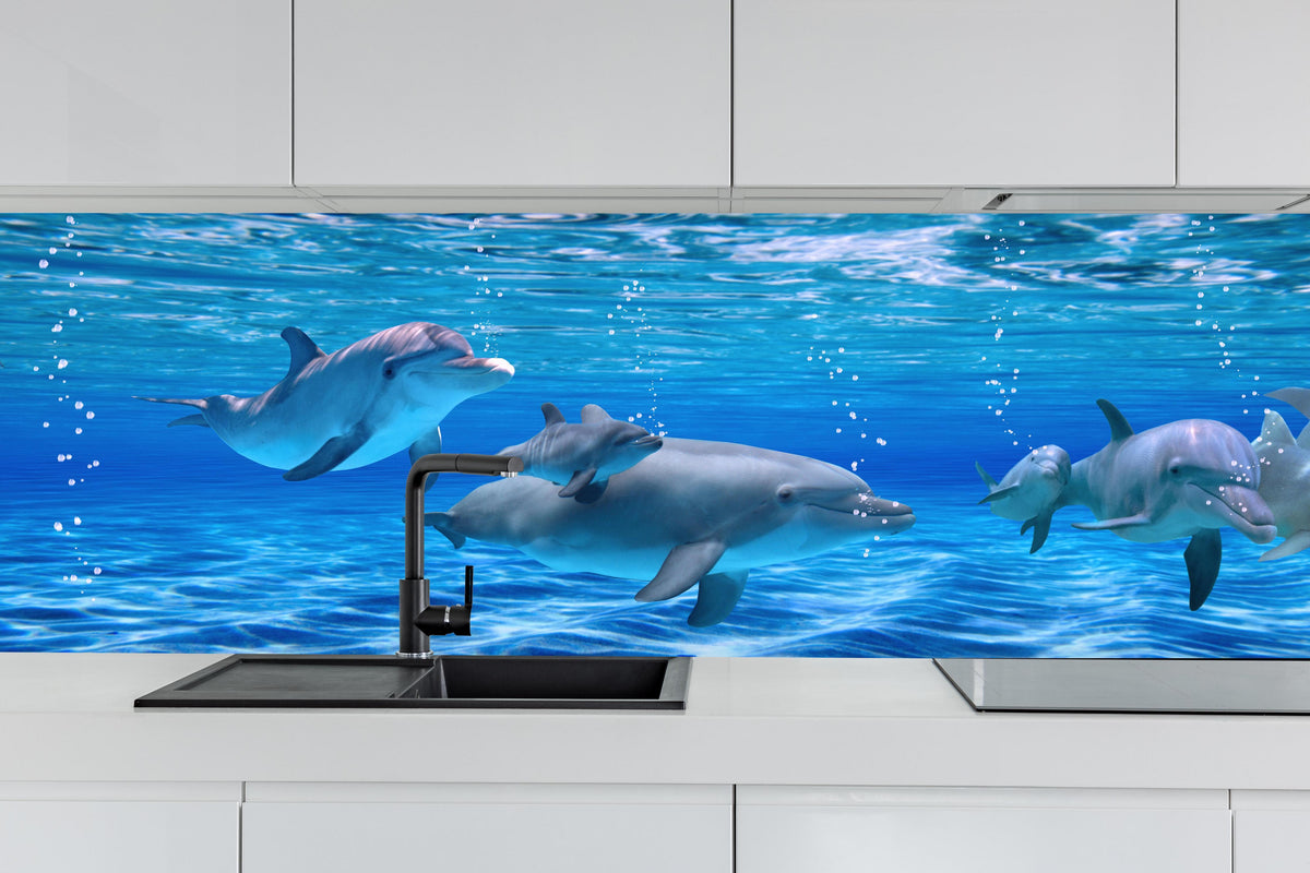 Küche - Panorama der schwimmenden Delphine hinter weißen Hochglanz-Küchenregalen und schwarzem Wasserhahn