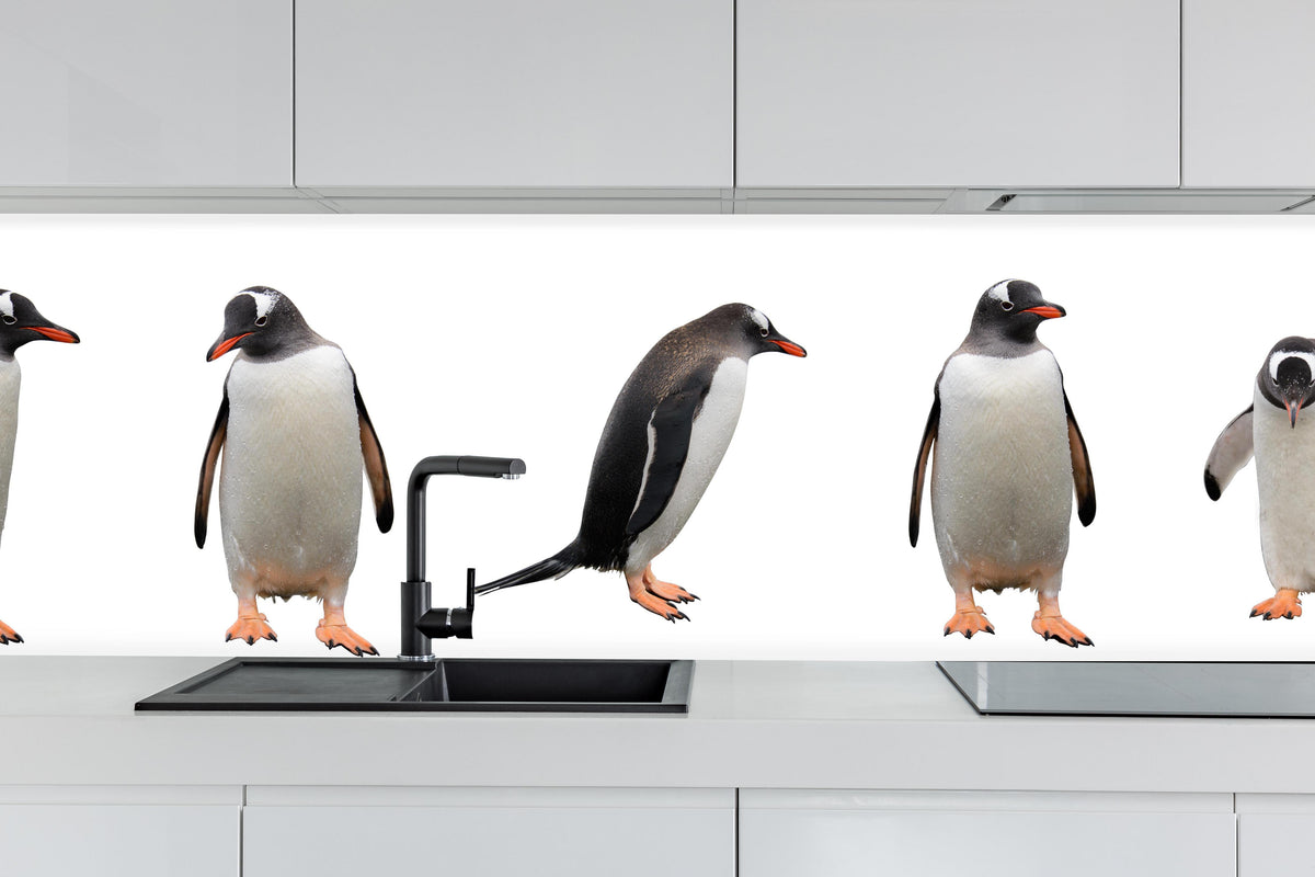 Küche - Pinguine auf weißem Hintergrund hinter weißen Hochglanz-Küchenregalen und schwarzem Wasserhahn