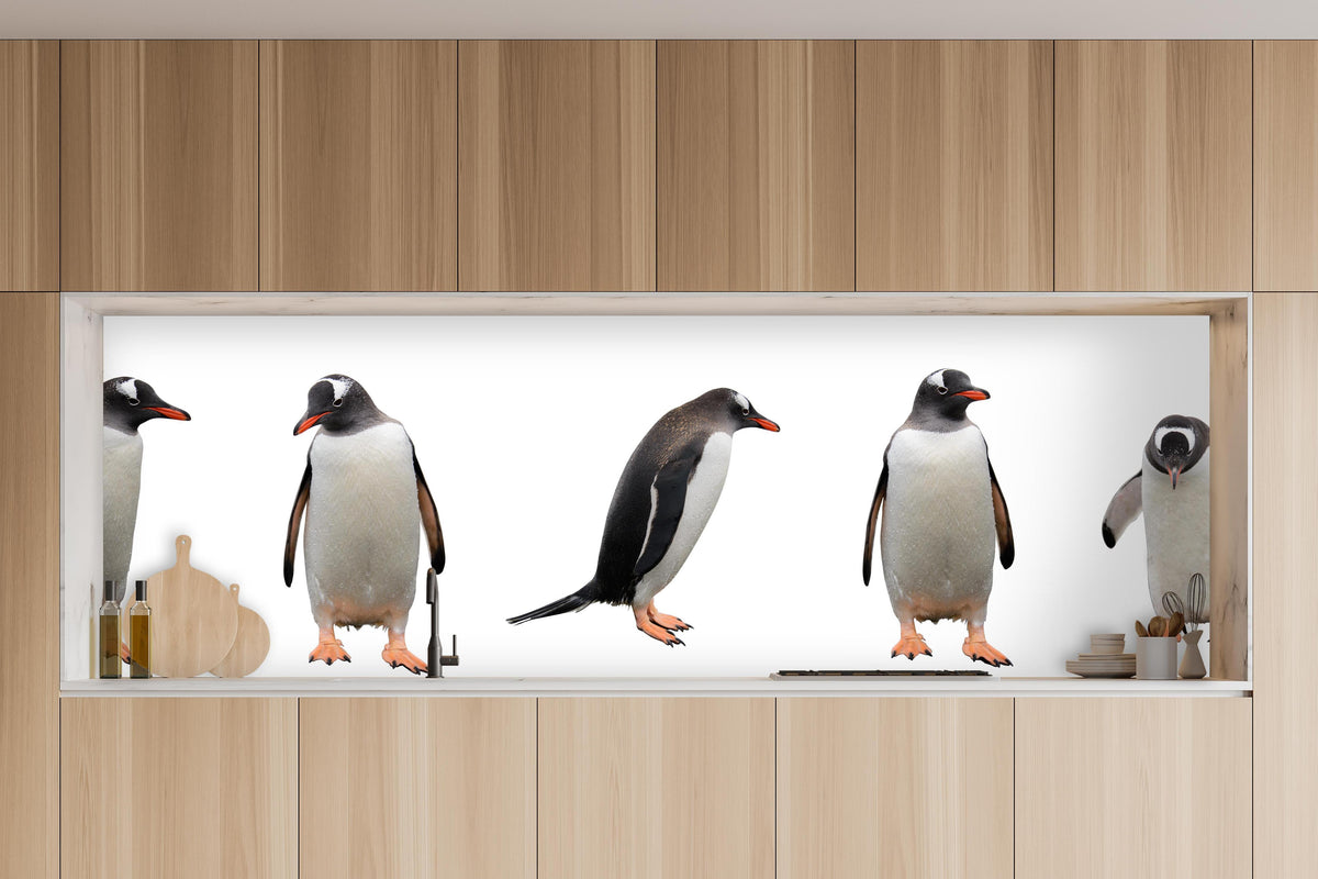 Küche - Pinguine auf weißem Hintergrund in charakteristischer Vollholz-Küche mit modernem Gasherd