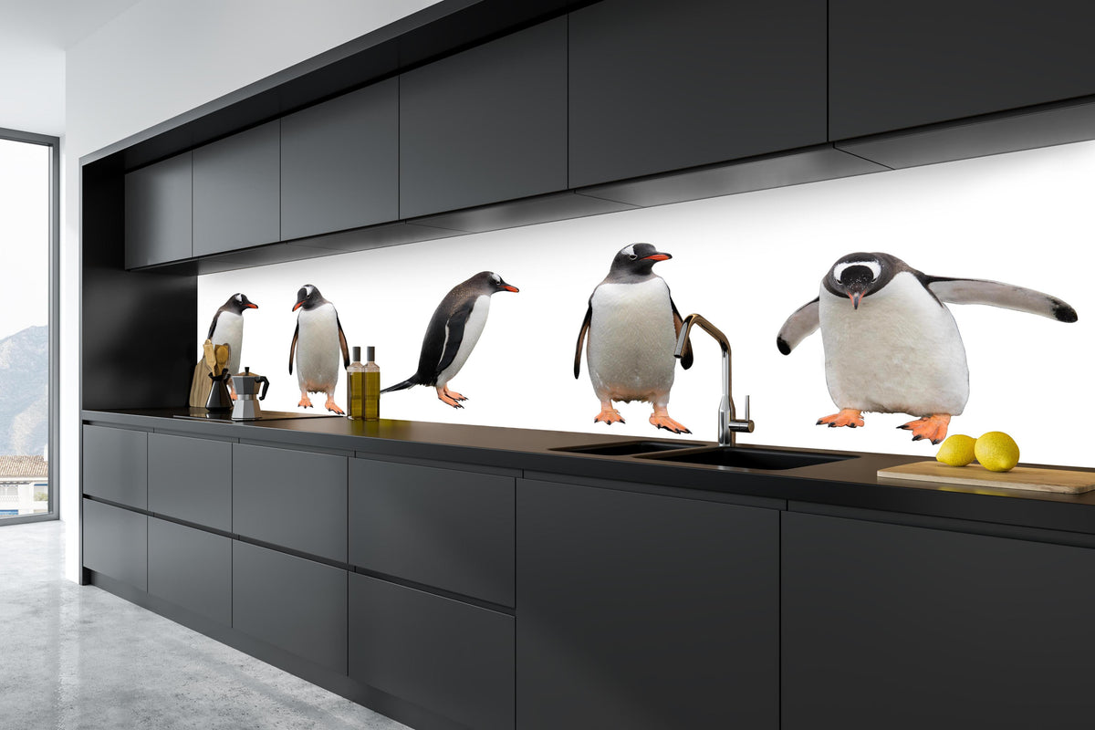 Küche - Pinguine auf weißem Hintergrund in tiefschwarzer matt-premium Einbauküche
